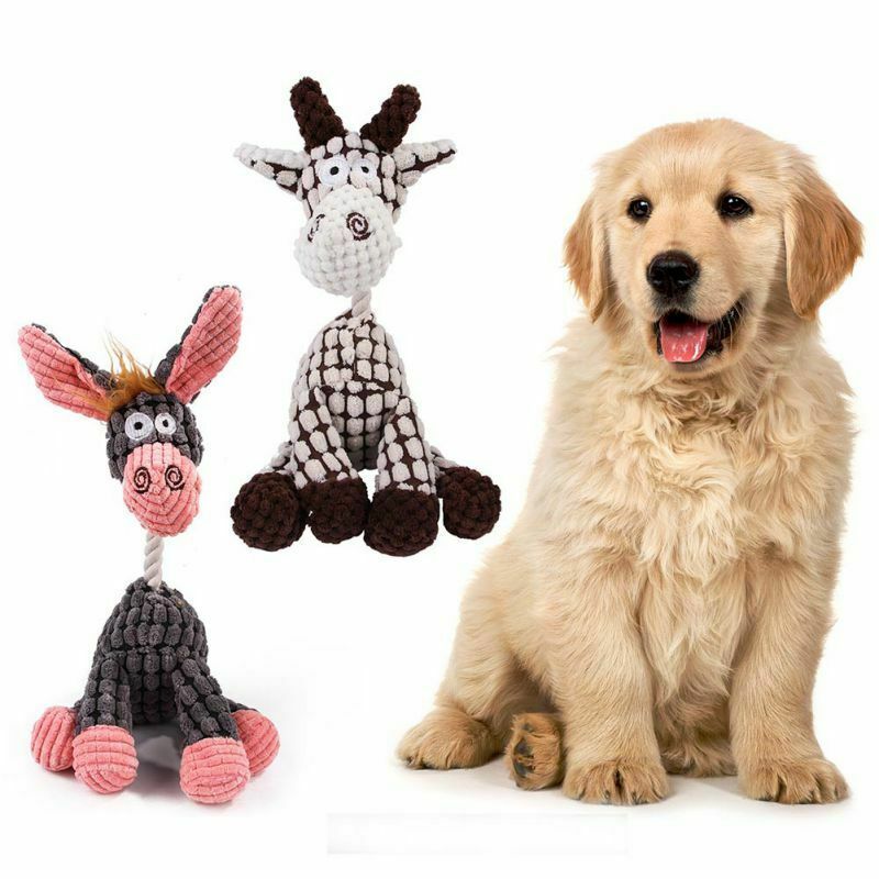 Dog Toy Play Funny Pet Puppy